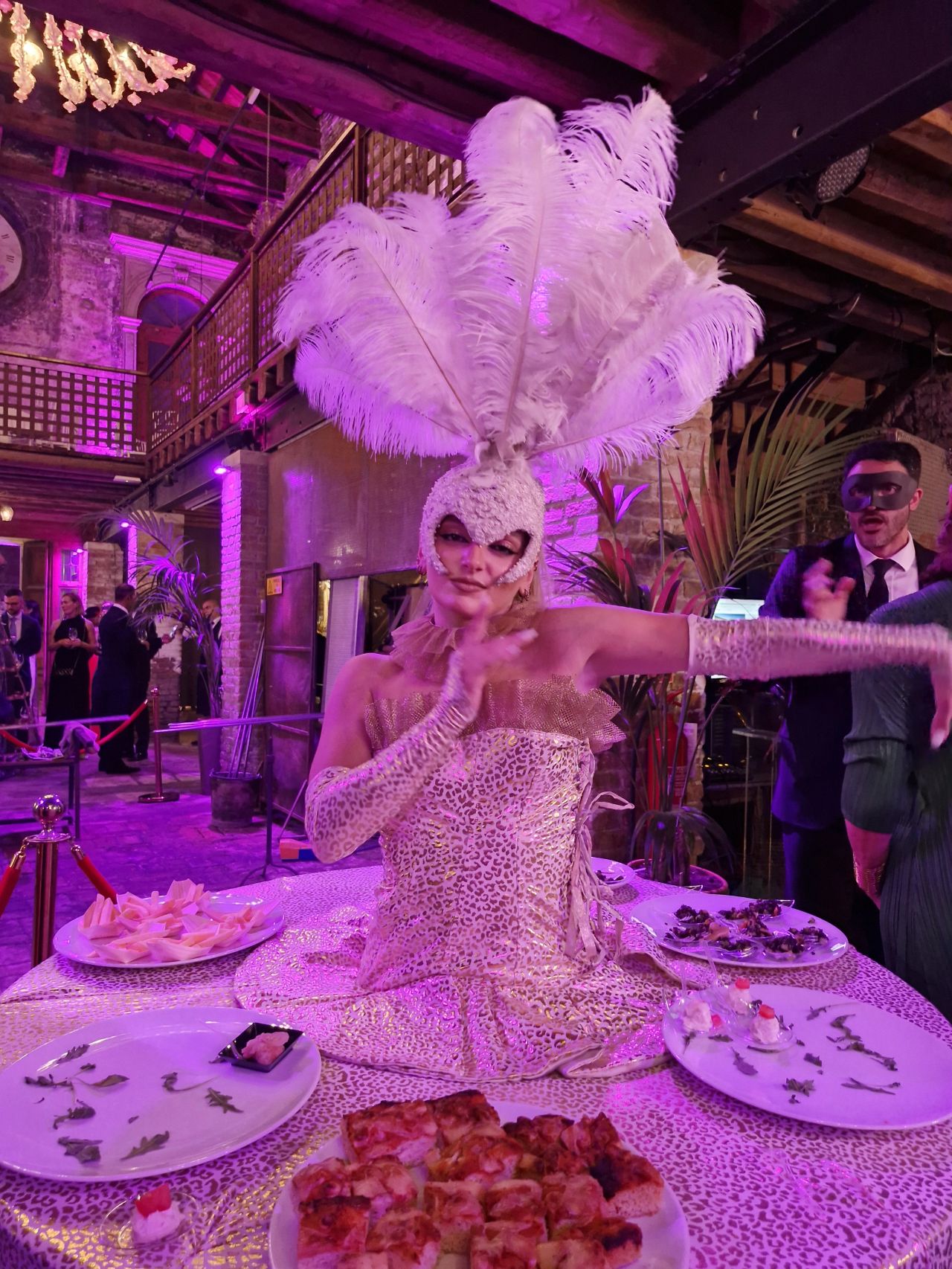 Masquerade performer at Venice reunion